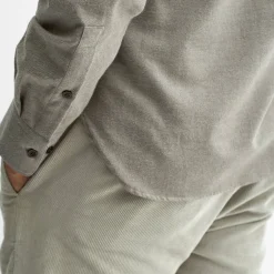 Hawkesworth Mole