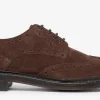 Saunders Chocolate Suede