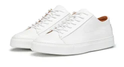 Sirolo White